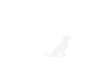 Bonsai-dogroom logo